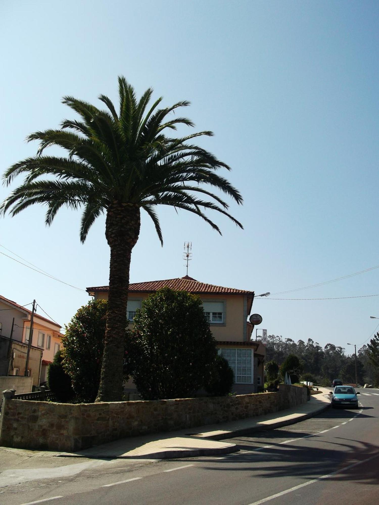 Hostal Pereirina Cee Buitenkant foto