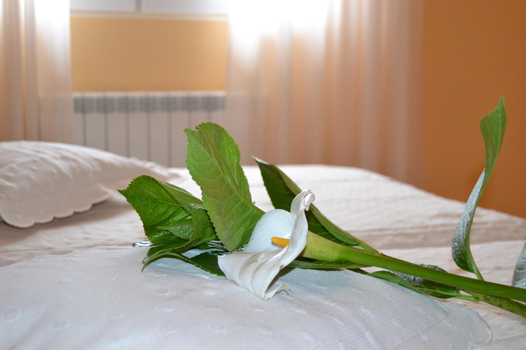 Hostal Pereirina Cee Kamer foto